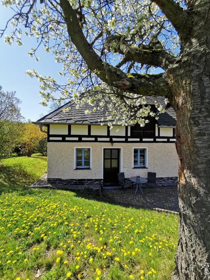 Ferienwohnung "Am Saalehaken" Gossitz Dış mekan fotoğraf